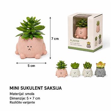 KMT Mala saksija sa sukulentom 702311 - Opis: Mini dekorativna