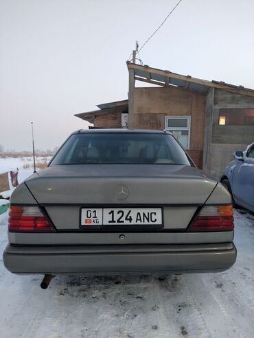 грузовой сапок мерс: Mercedes-Benz 220: 1988 г., 2.3 л, Автомат, Бензин, Седан