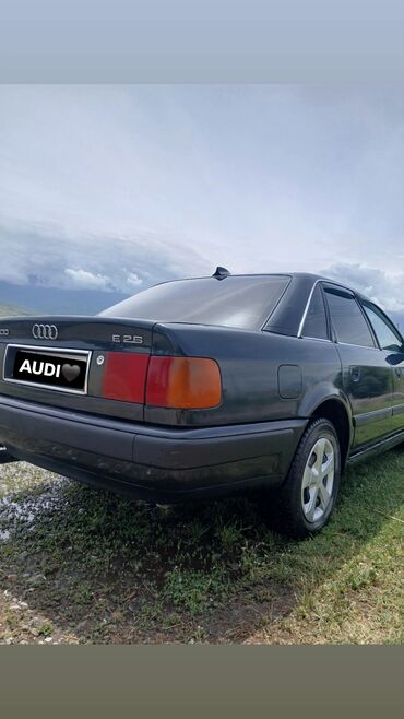 Audi: Audi 100: 1992 г., 2.3 л, Механика, Бензин, Седан — 5