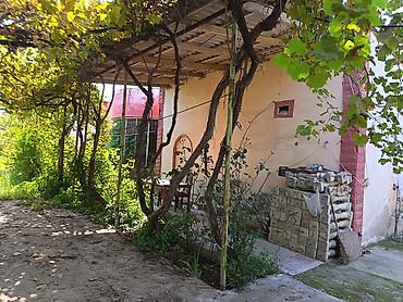 Həyət evləri və villaların satışı: Yaşıl həyətli fərdi ev sahəsi - Geniş həyət: betonlanmış keçid və — 5