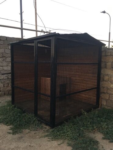 it ucun qefes: Böyük ölçülü it damı 2.20 2.20 hündürü 2.50 real alıcıya endirim