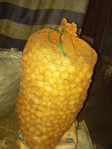 вакуумный упаковка: Грецкий орех, В скорлупе, Оптом — 1