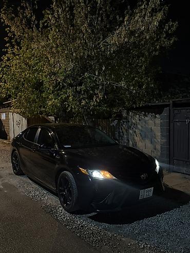 windom 2001: Toyota Camry: 2019 г., Бензин, Седан — 6