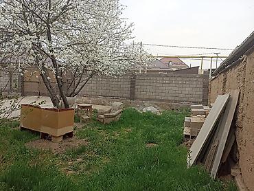 Куплю дом: 123 м², 4 комнаты, Забор, огорожен — 5