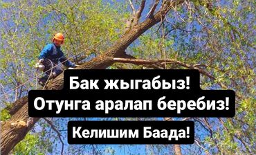 услуги по спилу деревьев: Спилим Дерево заготовим дрова Цена договорная. звонить в любое