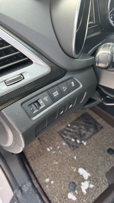 Hyundai: Hyundai Santa Fe: 2016 г., 2 л, Дизель — 7