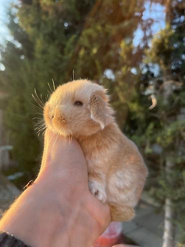berde mal bazari: Salam🖐🏻. 🎁 ad günlerinde bayram ve xüsusi günlerde hediyye seçiminde — 9