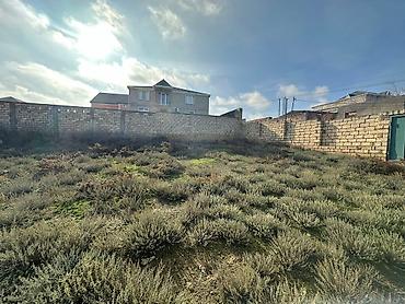 torpaq saray: 6 sot, Tikinti, Maklerlər narahat etməsin, Bələdiyyə — 4