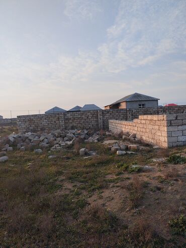 koroglu: Tikinti, Mülkiyyətçi, Kupça (Çıxarış)