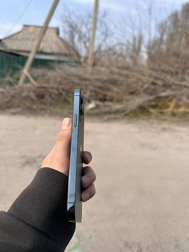 Apple iPhone: IPhone 12 Pro Max, Sierra Blue, Кабель — 2