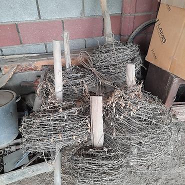 рулонные напольные покрытия: Колючая проволока (колючая лента) в бухтах. - Тип: стальная колючая — 2
