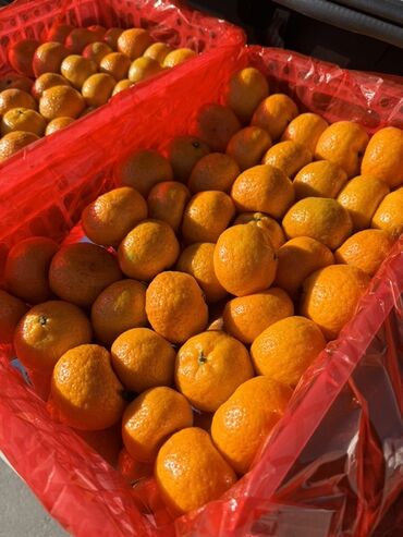 Мандарины: Мандарины — 10