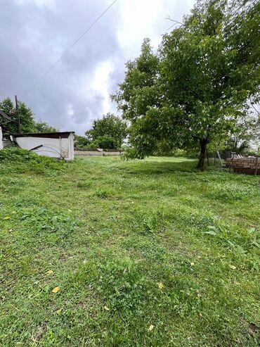 Torpaq sahələrinin satışı: 5 sot, Kənd təsərrüfatı -da lalafo.az — 11 Torpaq sahələrinin satışı: 5 sot, Kənd təsərrüfatı — 11