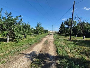 rent: Na prodaju salaš – Rumski drum 69a, Sremska Mitrovica Na prodaju — 2