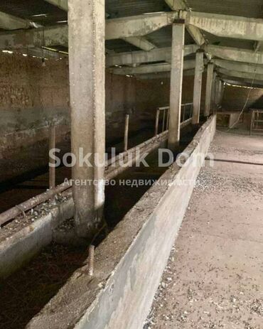 Продажа участков: 30 соток — 4