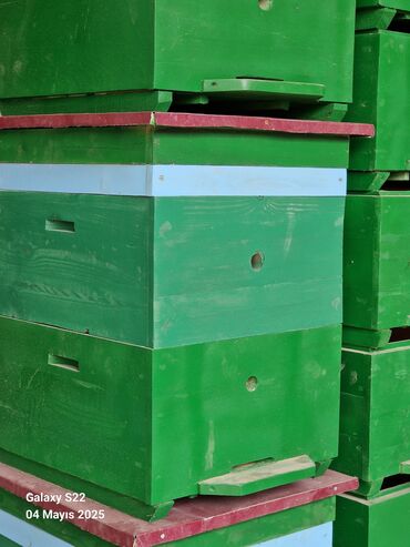 Arı yeşikləri: Arıçılıq üçün taxta pətək korpusları və qapaqları Məhsul təsviri: - — 3