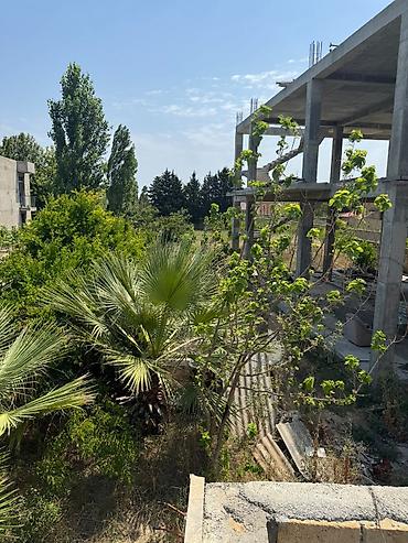 kirayə ev zabrat 1: Görədil qəsəbəsi, bağ massivinin ən prestijli və dəniz mənzərəli — 9