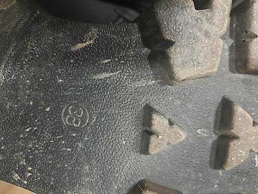 Gležnjače: Gležnjače, Ara, 39 — 8