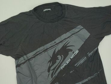 T-shirts: T-shirt for men, L (EU 40), condition - Good