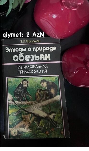 Lüğətlər: 125 shekil. Sola cevirin zehmet olmasa Kitab və dərs vəsaitləri paketi — 69