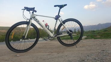 шоссейный велосипед pinarello: Шоссе велосипеди, Велосипед алкагы L (172 - 185 см), Колдонулган