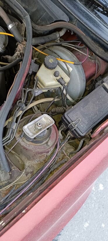 Mercedes-Benz: Mercedes-Benz W124: 1995 г., 2.5 л, Механика, Дизель, Седан — 7