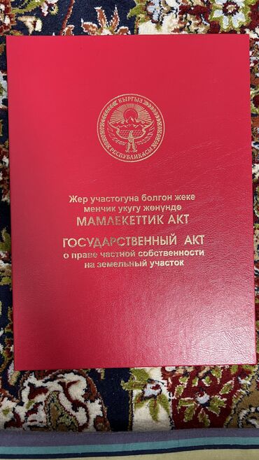 кыргызско русский словарь книга: 449 соток, Для бизнеса, Красная книга