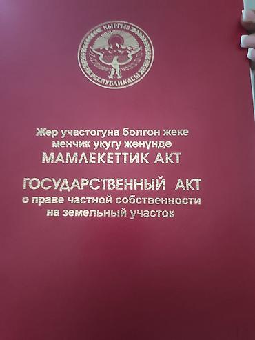 Жер тилкелери: 8 соток — 1