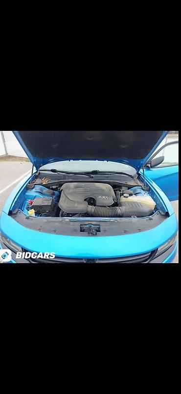 dodge challanger: Dodge Challenger: 2019 г., 3.6 л, Автомат, Бензин, Седан — 10