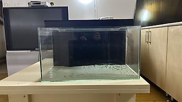 ocean filter: Şüşə akvarium dəsti - Şəffaf, yapışdırılmış şüşədən akvarium korpusu — 1