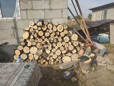 Дрова: Дрова Бесплатная доставка — 1