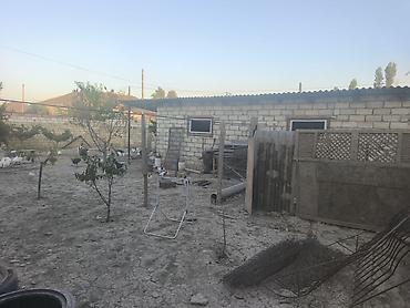 yeni masazır: Tikinti, Mülkiyyətçi, Kupça (Çıxarış) — 4