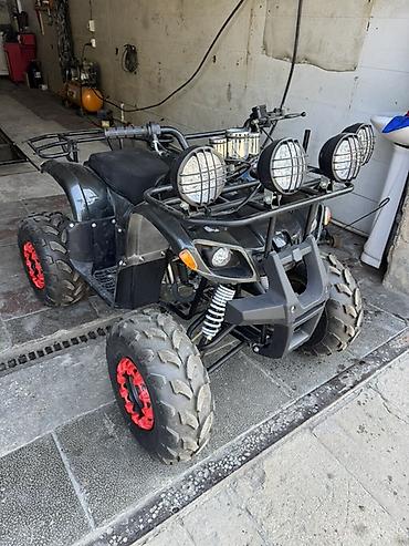 yük baqaji: ATV kvadrosikl – off-road üçün tam təchizatlı - Güclü ofroud — 1