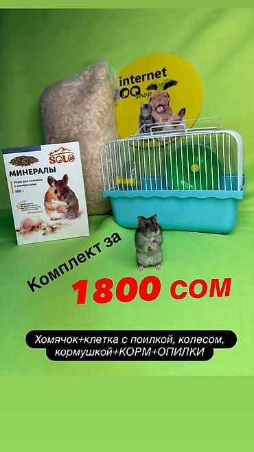 Животные: ХОМЯЧОК+КЛЕТКА с поилкой, кормушкой, беговое колесо+КОРМ+ОПИЛКИ. Весь — 1