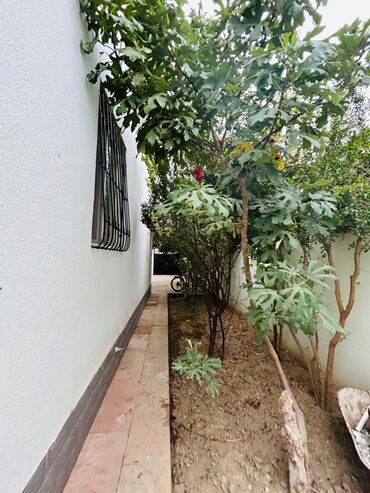 Həyət evləri və villaların satışı: Satılır: həyətli iki mərtəbəli fərdi ev Ünvan təsviri: Şəhər daxili — 8