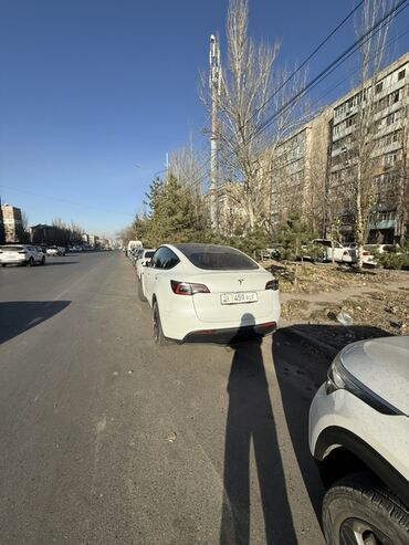 Tesla: Tesla Model Y: 2023 г., Электромобиль, Кроссовер — 3