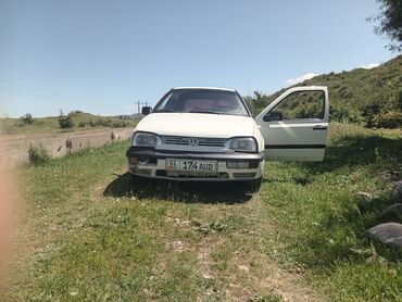 Volkswagen: Volkswagen Golf: 1994 г., 1.6 л, Механика, Бензин, Хэтчбэк