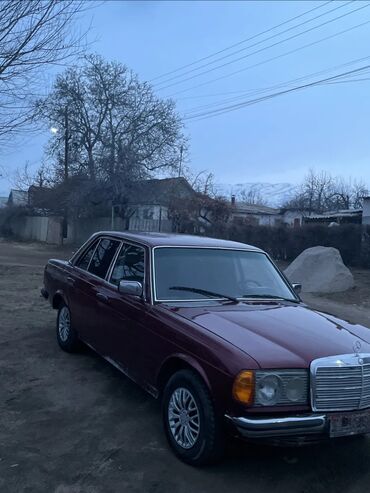 Mercedes-Benz: Mercedes-Benz W123: 1981 г., 2.2 л, Механика, Дизель, Седан — 5