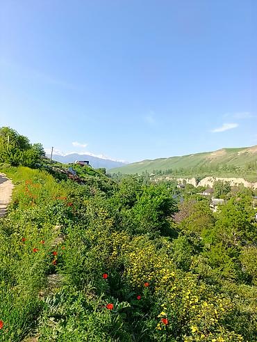 Продажа коттеджей и домов: Продается современный просторный дом в Беш-Кунгее (начало) 📍Алматинка/ — 6