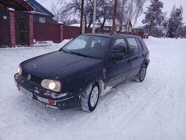 Volkswagen: Volkswagen Golf: 1993 г., 1.8 л, Механика, Бензин, Хэтчбэк