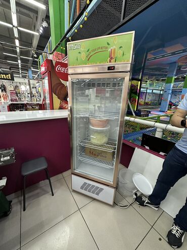 atego холодильник: Муздаткыч Колдонулган, Бир камералуу