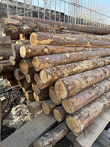 Лес кругляк: Срочно!!! Продается Кругляк(сосна, пихта, тополь и др. породы)длина — 8