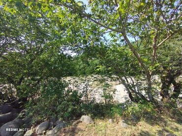 Həyət evləri və villaların satışı: 3 otaqlı, 90 kv. m, Kredit yoxdur, Orta təmir -da lalafo.az — 14 Həyət evləri və villaların satışı: 3 otaqlı, 90 kv. m, Kredit yoxdur, Orta təmir — 14