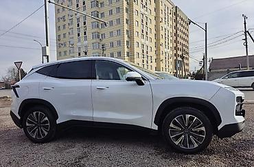 Jetour: Jetour Dasheng: 2024 г., 1.5 л, Робот, Бензин, Кроссовер — 6