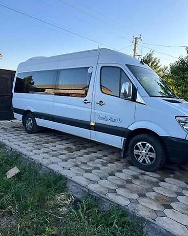 w210 e320: Пункт назначения: Все направления, Количество мест: 18 — 1