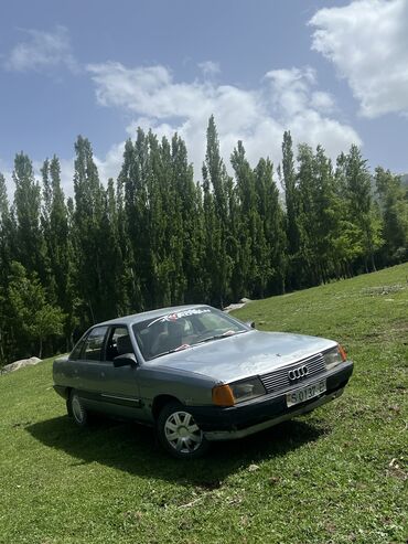 Audi: Audi 100: 1989 г., 2 л, Механика, Бензин, Седан