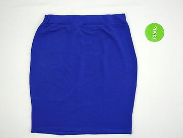 sukienka chabrowa plus size: Spódnica damska, rozmiar 2XL — 4