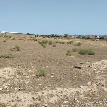 Torpaq sahələrinin satışı: 2500 sot, Müqavilə
