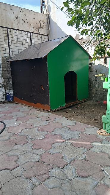 it səkilləri: Böyük ölçülü it evi - Material: möhkəm taxta karkas, üstü — 8