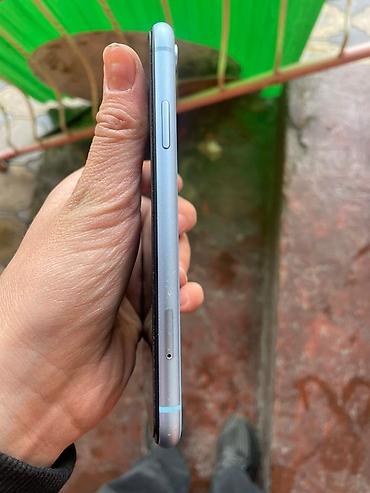 Apple iPhone: IPhone Xr, Голубой — 4